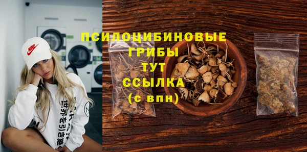 PSILOCYBIN Верхний Тагил