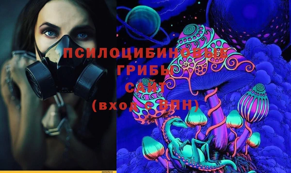 крисы Медвежьегорск