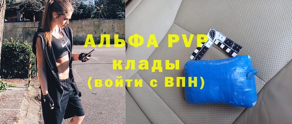 крисы Медвежьегорск