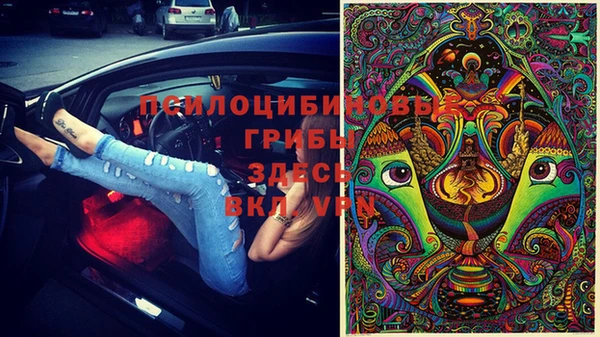 дживик Мегион