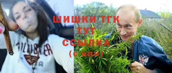 крисы Медвежьегорск