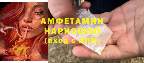 крисы Медвежьегорск