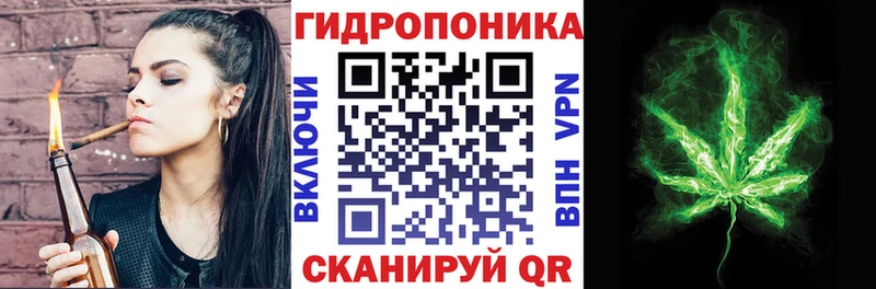 Конопля SATIVA & INDICA  Ленинск 